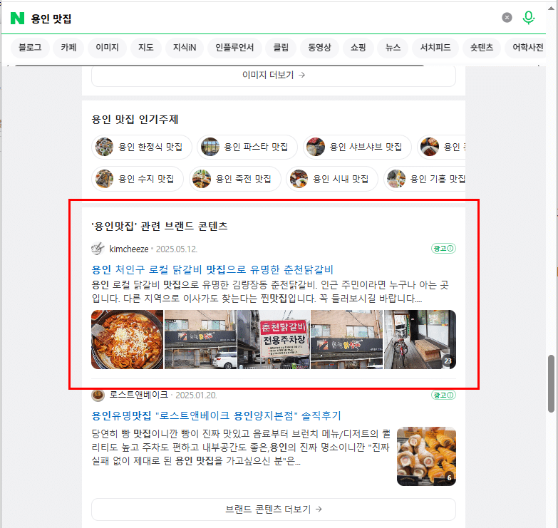 네이버 통합검색 블로그 영역