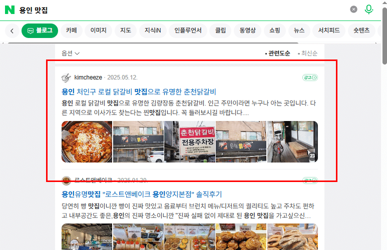 네이버 블로그탭 영역